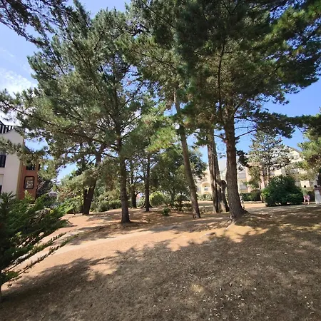 Lejlighed Loc4loc - Le Castel St Nicolas - *